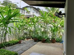 Watten Hill (D11), Semi-Detached #411316051